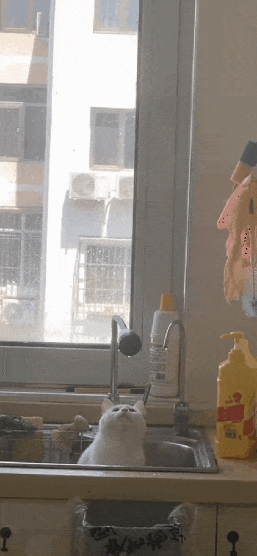Acid GIFs, March 3 (25 gifs) Acid GIFs, March 3 (25 gifs)