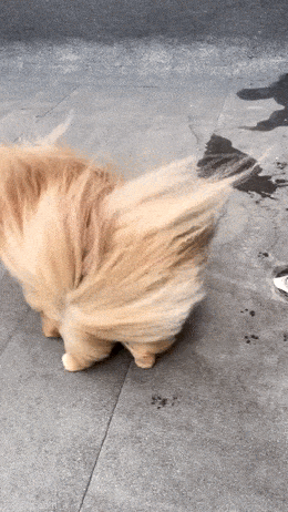 Acid GIFs, March 3 (25 gifs) Acid GIFs, March 3 (25 gifs)