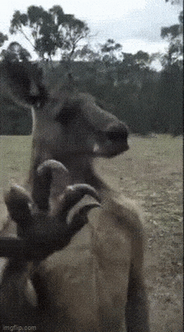 Acid GIFs, March 3 (25 gifs) Acid GIFs, March 3 (25 gifs)