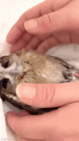 Acid GIFs, March 3 (25 gifs) Acid GIFs, March 3 (25 gifs)
