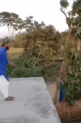 Acid GIFs, March 3 (25 gifs) Acid GIFs, March 3 (25 gifs)