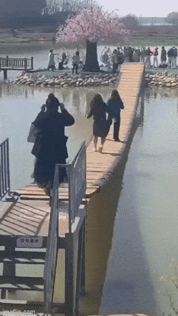 Acid GIFs, March 3 (25 gifs) Acid GIFs, March 3 (25 gifs)
