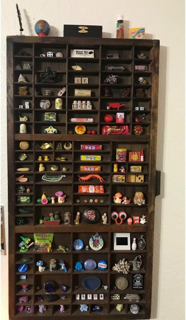 People Share Their Impressive Collections (20 pics)