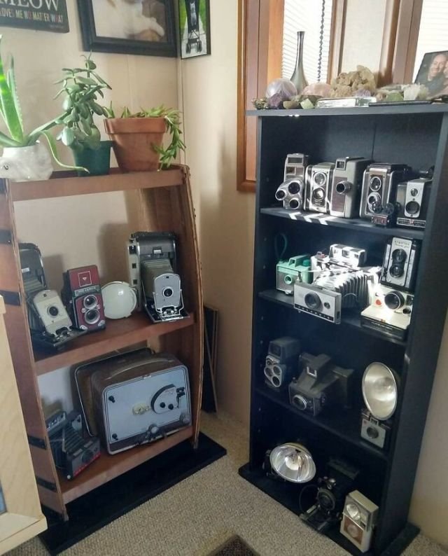 People Share Their Impressive Collections (20 pics)