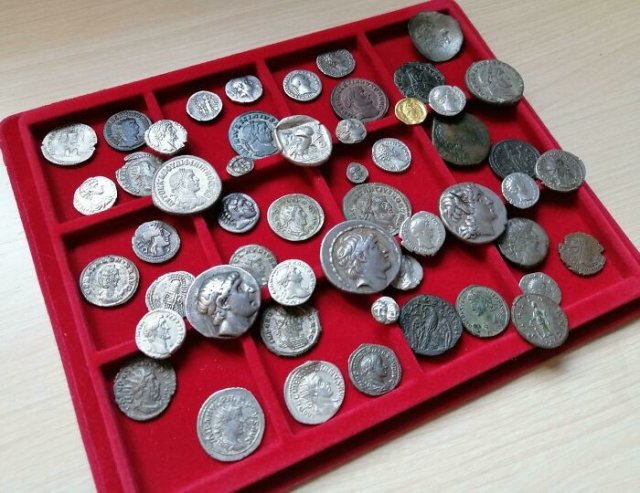 People Share Their Impressive Collections (20 pics)