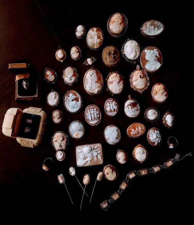 People Share Their Impressive Collections (20 pics)
