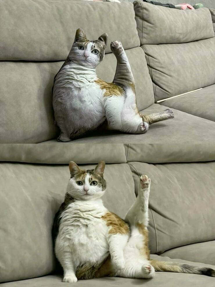 Daily Pictures. Part 2 (58 pics)