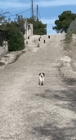 Acid GIFs, March 4 (25 gifs) Acid GIFs, March 4 (25 gifs)