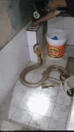 Acid GIFs, March 4 (25 gifs) Acid GIFs, March 4 (25 gifs)