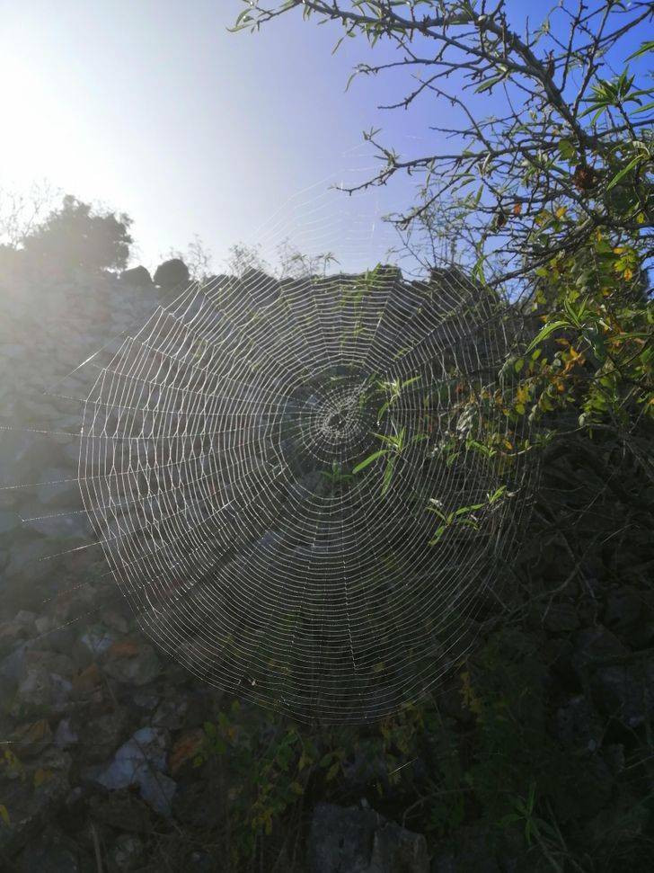 Photos For Perfectionists (20 pics)