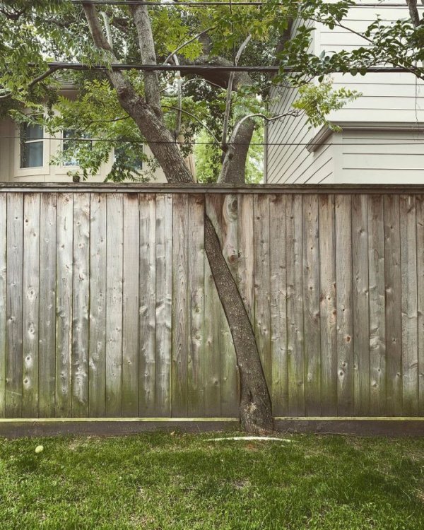 Optical Illusions (17 pics)