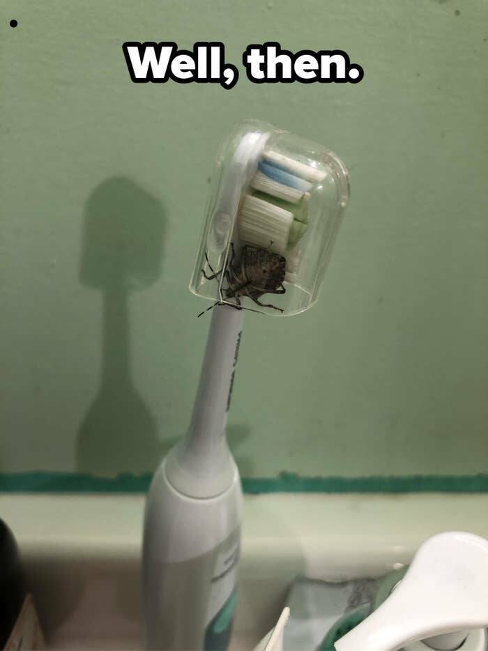 Bad Days Happen (23 pics)