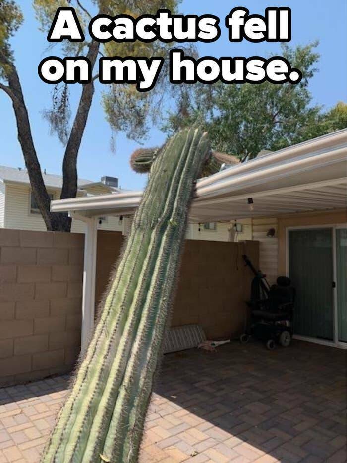 Bad Days Happen (23 pics)