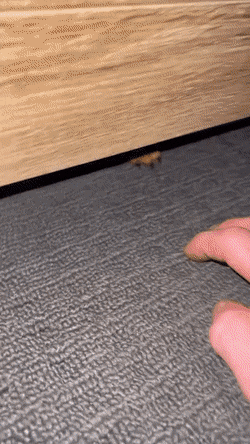 Acid GIFs, March 5 (25 gifs) Acid GIFs, March 5 (25 gifs)