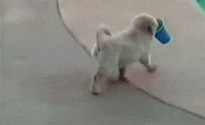 Acid GIFs, March 5 (25 gifs) Acid GIFs, March 5 (25 gifs)