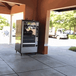 1741103728_20.gif