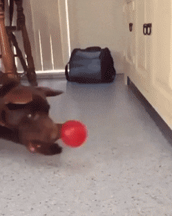 Acid GIFs, March 5 (25 gifs) Acid GIFs, March 5 (25 gifs)