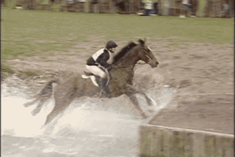 Acid GIFs, March 5 (25 gifs) Acid GIFs, March 5 (25 gifs)