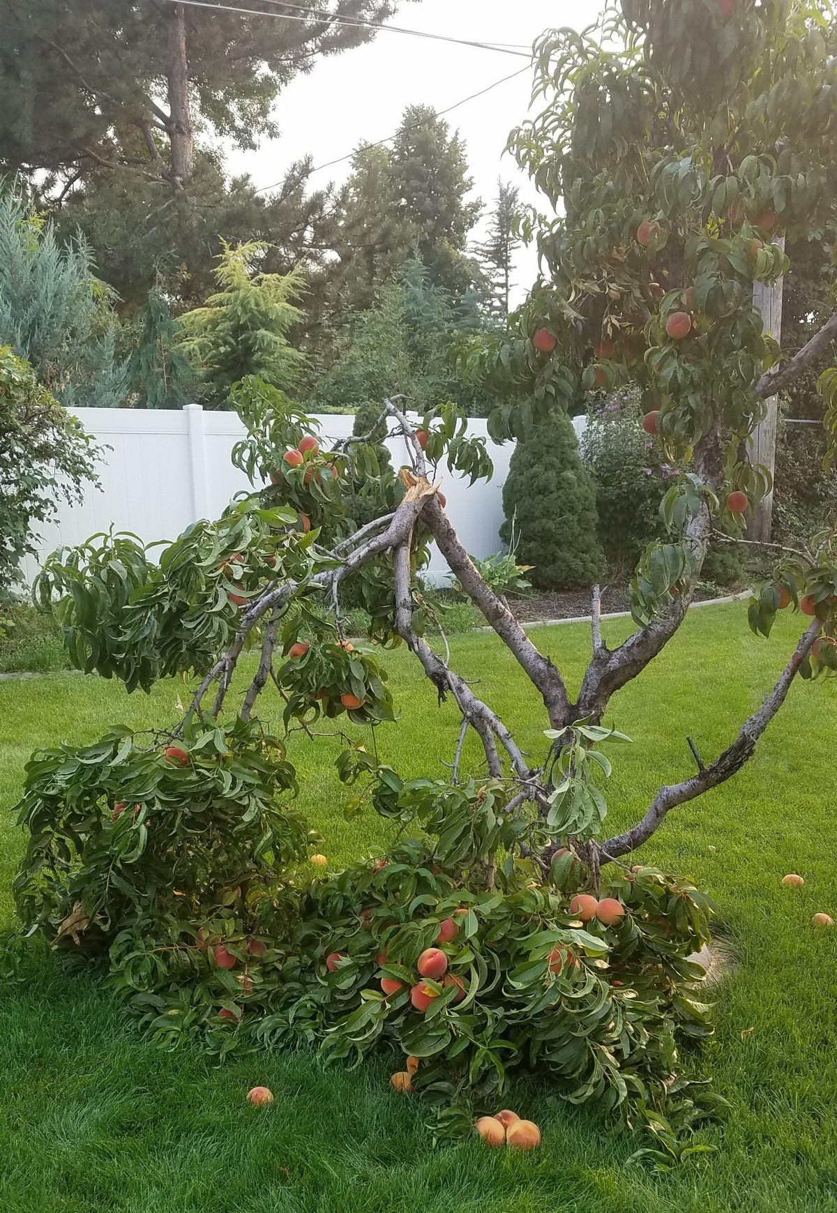Bad Days Happen (25 pics)