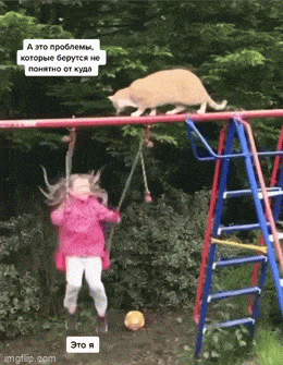 1741194339_22.gif