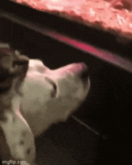 Acid GIFs, March 6 (25 gifs) Acid GIFs, March 6 (25 gifs)