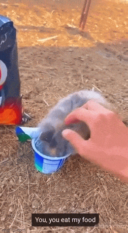 Acid GIFs, March 6 (25 gifs) Acid GIFs, March 6 (25 gifs)