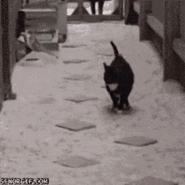 Acid GIFs, March 6 (25 gifs) Acid GIFs, March 6 (25 gifs)