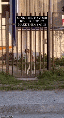 Acid GIFs, March 6 (25 gifs) Acid GIFs, March 6 (25 gifs)