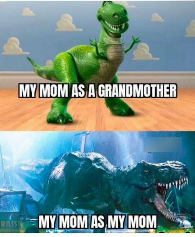 Memes For Women (15 pics)
