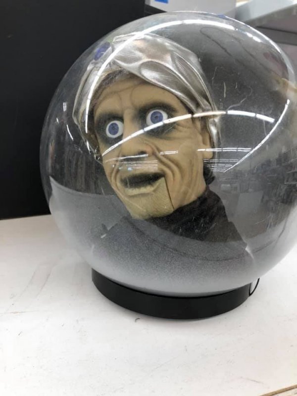 Odd Finds In Thrift Shops (17 pics)