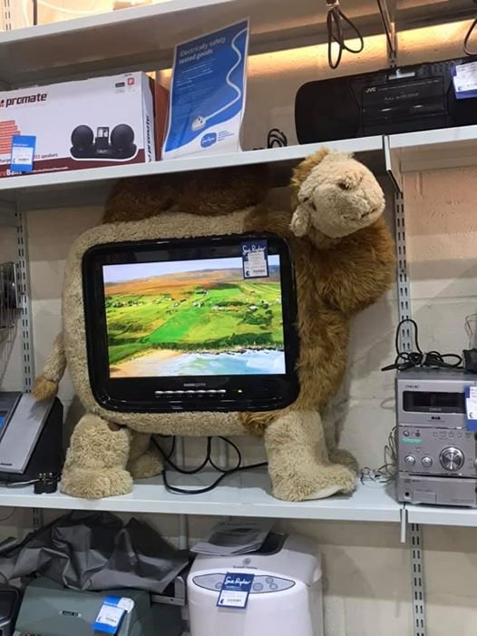 Odd Finds In Thrift Shops (17 pics)