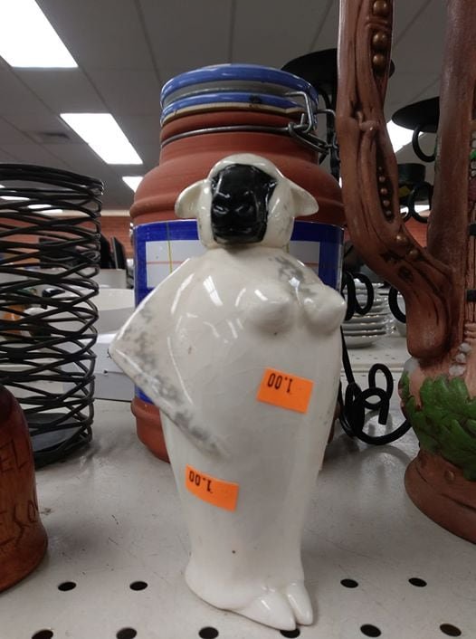 Odd Finds In Thrift Shops (17 pics)