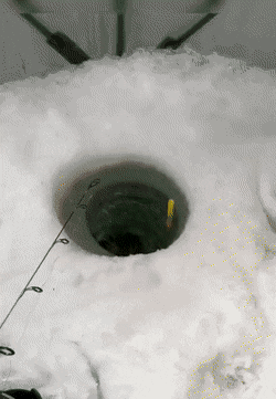 Acid GIFs, March 7 (25 gifs) Acid GIFs, March 7 (25 gifs)