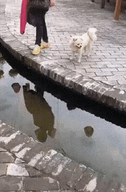 1741281190_19.gif