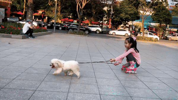 1741281233_14.gif