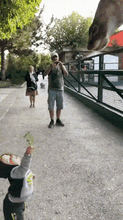 Acid GIFs, March 10 (25 gifs)