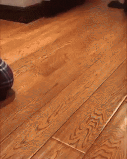 Acid GIFs, March 10 (25 gifs)