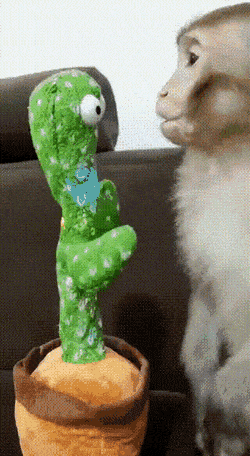 Acid GIFs, March 10 (25 gifs)