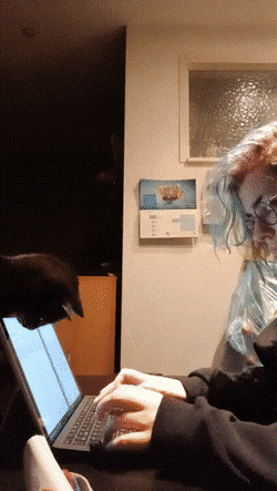 Acid GIFs, March 10 (25 gifs)