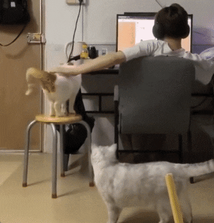 Acid GIFs, March 10 (25 gifs)