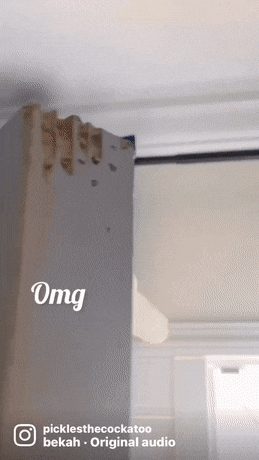 Acid GIFs, March 10 (25 gifs)