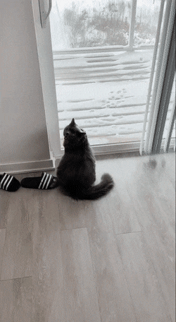 Acid GIFs, March 10 (25 gifs)