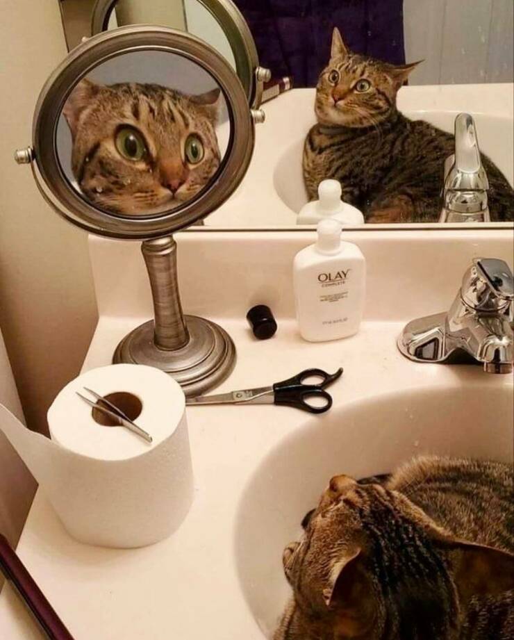 Daily Pictures. Part 2 (61 pics)