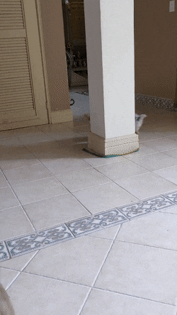 Acid GIFs, March 12 (25 gifs)