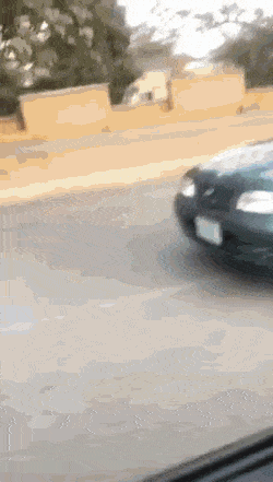 Acid GIFs, March 12 (25 gifs)