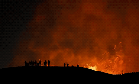 Acid GIFs, March 12 (25 gifs)