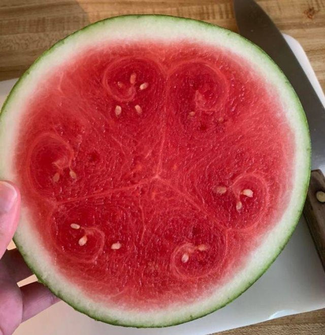 Photos For Perfectionists (15 pics)