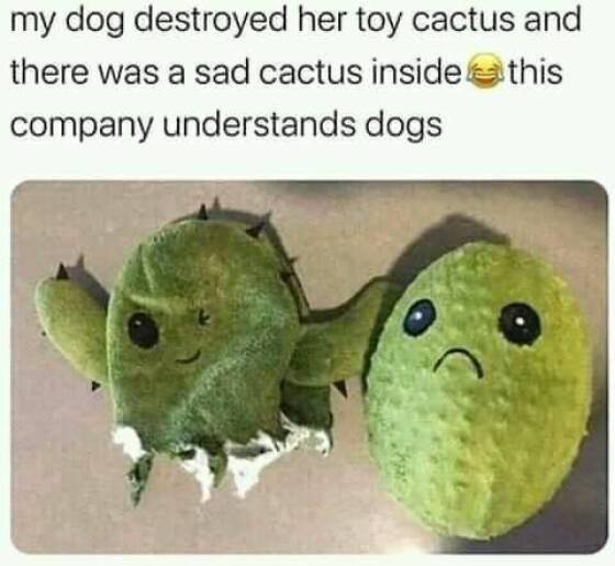 Daily Pictures. Part 1 (58 pics)