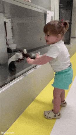 Acid GIFs, March 13 (25 gifs) Acid GIFs, March 13 (25 gifs)
