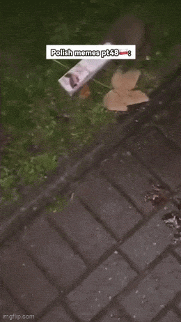 Acid GIFs, March 13 (25 gifs) Acid GIFs, March 13 (25 gifs)